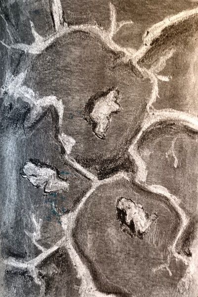 [illustration]