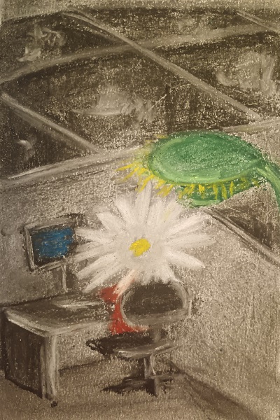 [illustration]