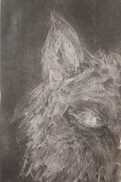[illustration]