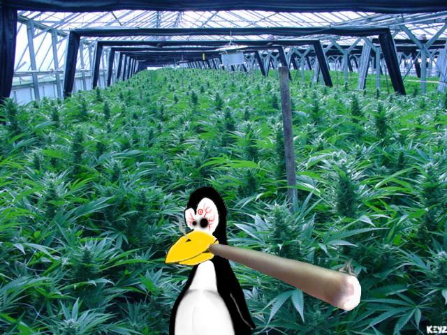 https://www.lazone.org/data/img/ke/tux-tox.jpg