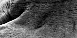 https://www.lazone.org/data/img/nihil/mourants/02/04a.jpg