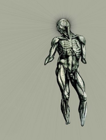 https://www.lazone.org/data/img/nihil/vesalius3.jpg